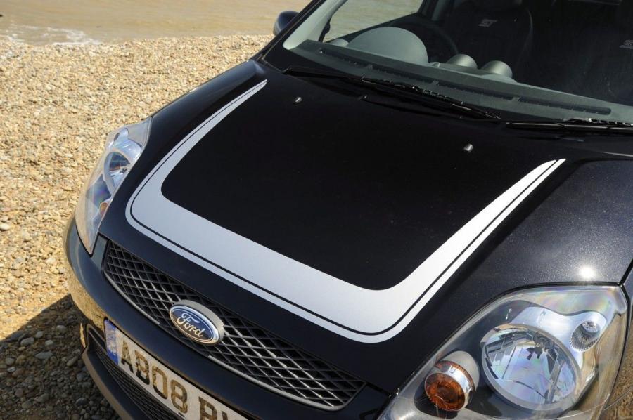  Ford Fiesta ST500 2008 года  (фото 3 из 17)